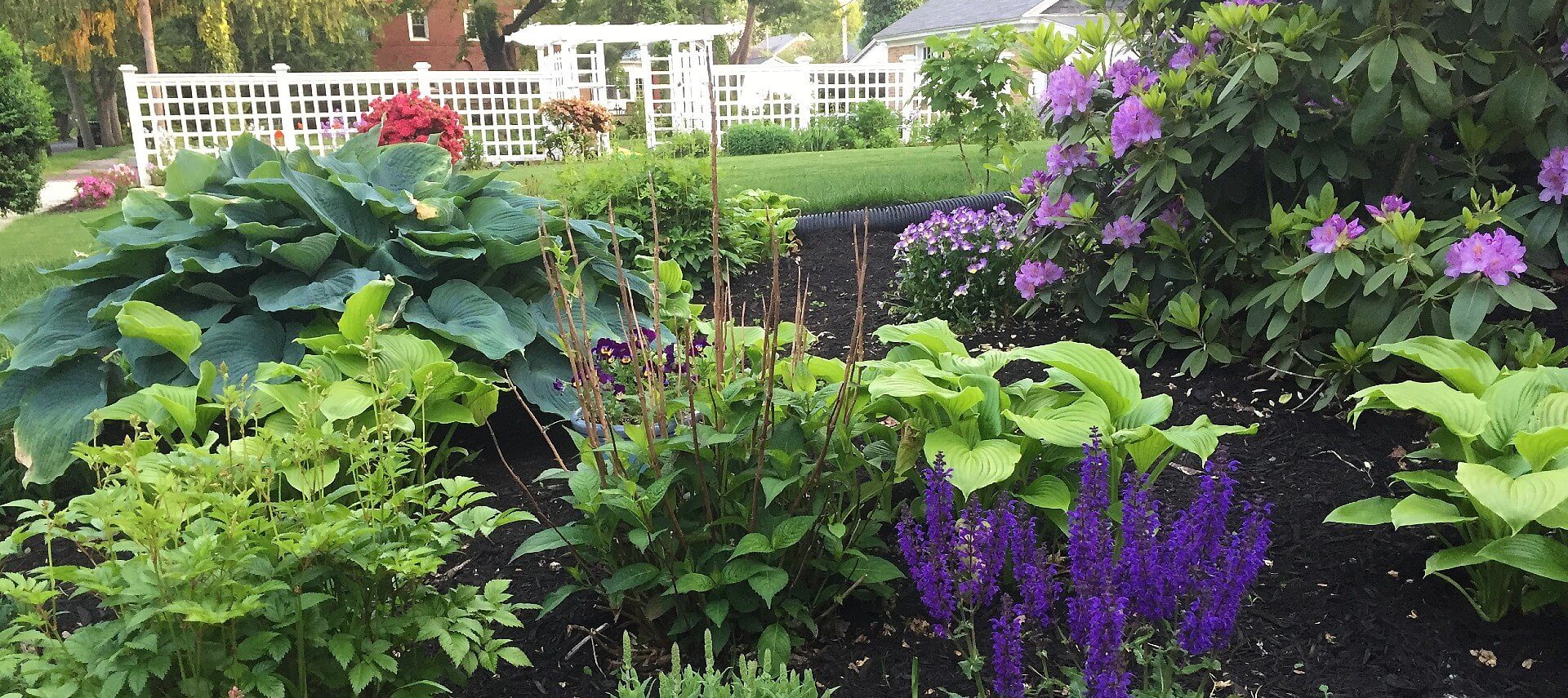 Garden bed full of lush green plants and purple and red flowers with white fence in background